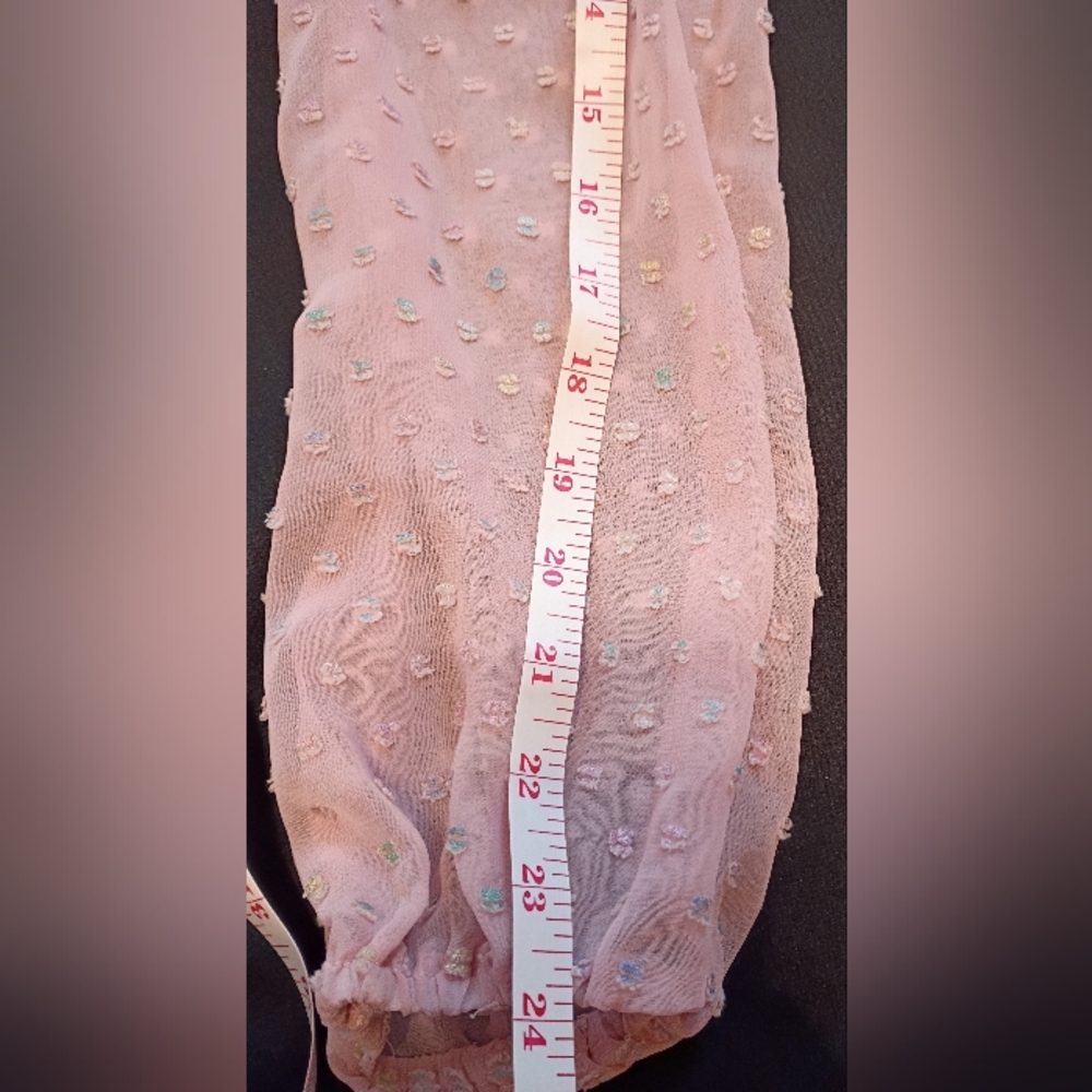 Pink Sheer Chiffon Clip Dot Mock Neck Long Sleeve Blouse - Picture 13 of 13